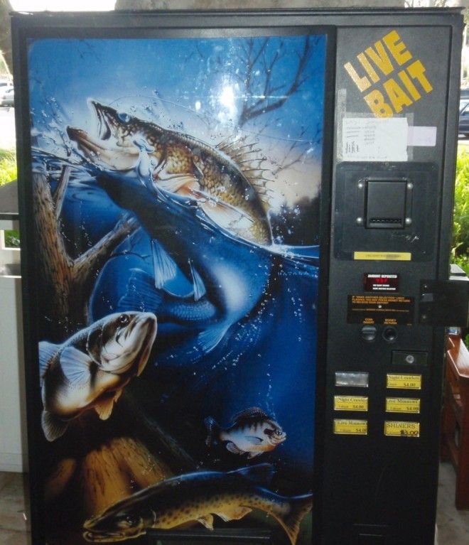 Вы удивитесь, увидев эти безумные автоматы в Японии и других странах вендинговый аппарат, торговые автоматы, фото