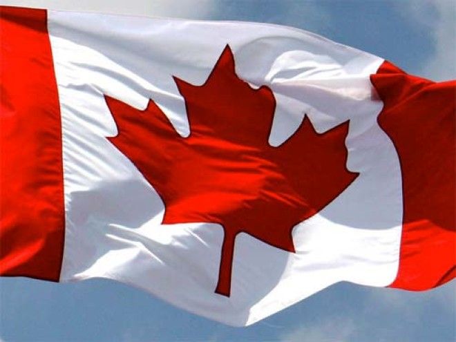 Картинки по запросу кленовый лист канада