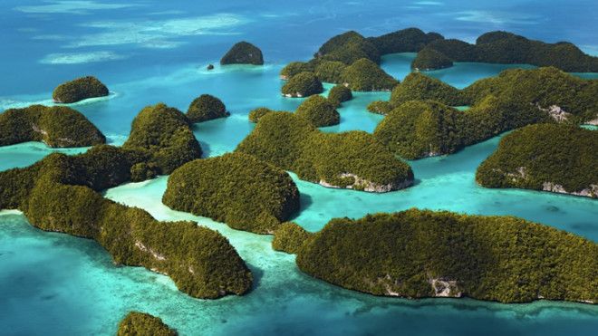 Скалистые острова, Палау Острова, покрытые густой растительностью и напоминающие с воздуха грибы, являются главной достопримечательностью Палау. Славятся они своими пляжами и прозрачными голубыми лагунами. Большинство из них населяют лишь редкие птицы и животные.