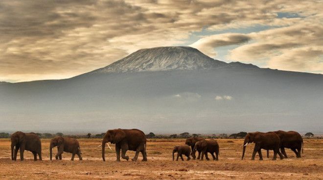 Гора Килиманджаро Территория вершины горы когда-то была полностью покрыта льдом. Сегодня же пейзаж больше напоминает марсианскую пустыню: в период между 1912 и 2011 годами растаяло 85% ледяного массива и климатологи полагают, что остаток исчезнет уже к 2020 году.