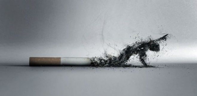 15 примеров мощной рекламы после которой бросить курить хочется еще больше