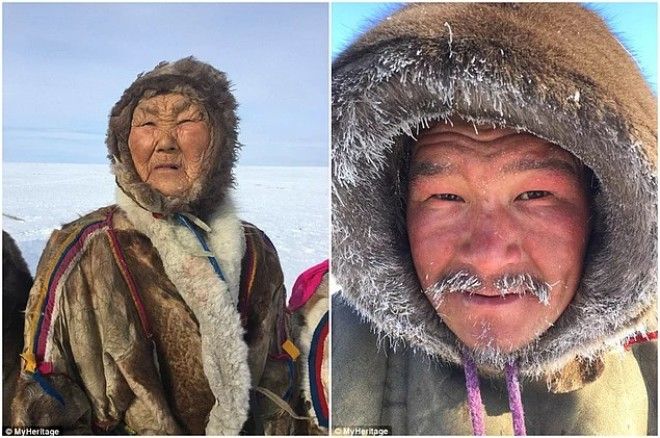Жизнь на краю света Как живет сибирское племя ненцы в условиях лютого холод