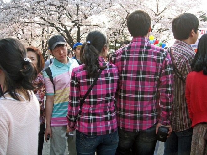 10 странных вещей в Южной Корее которые нам будет трудно понять