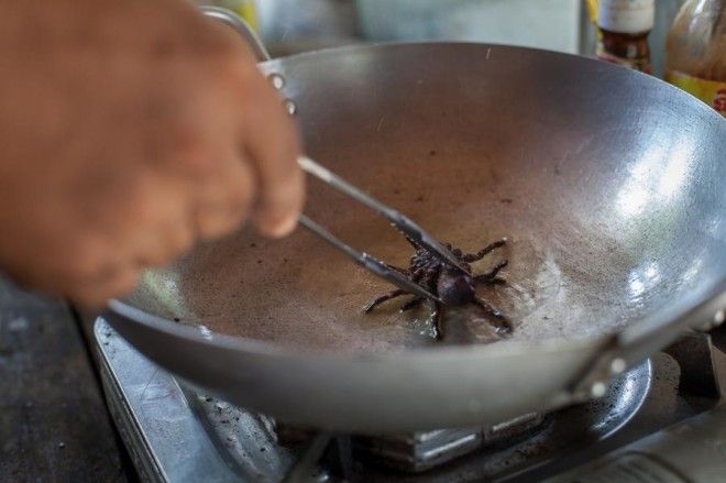 Охота на тарантулов в Камбодже