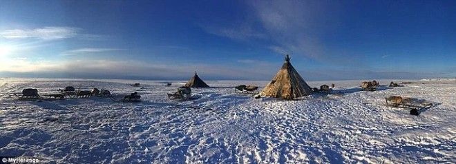 Жизнь на краю света Как живет сибирское племя ненцы в условиях лютого холод