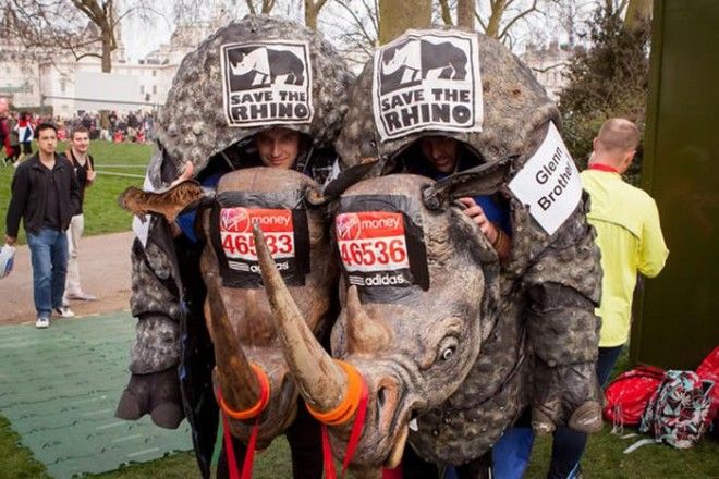 Марафонские костюмы носорогов для забегов по всему миру