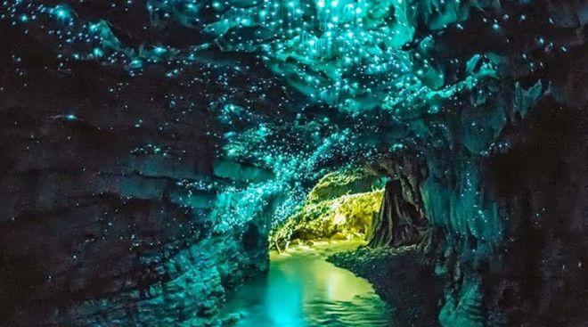 Пещеры Вайтомо В Новой Зеландии находится одно из самых удивительных природных чудес мира Пещеры Вайтомо стали домом для миллионов светлячков в постоянной темноте они образуют на стенах пещеры свой собственный космос
