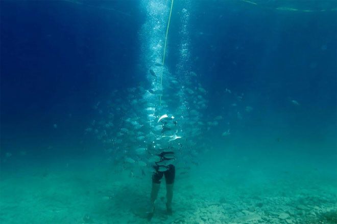 Уникальный подводный парк в Хорватии