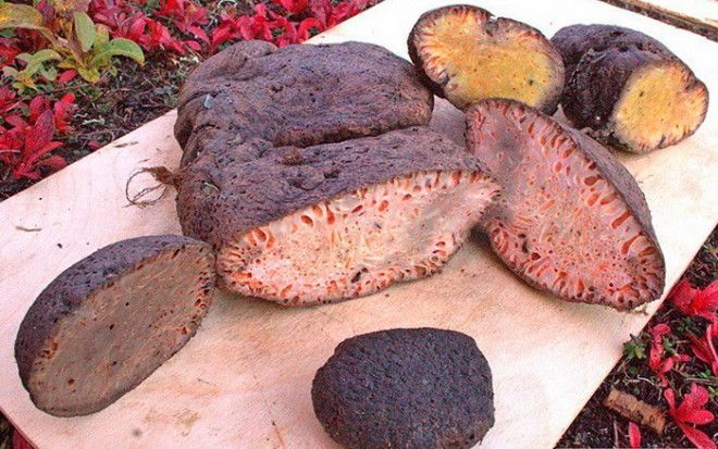 Копальхен мясной деликатес народов Севера Фото rupostersru
