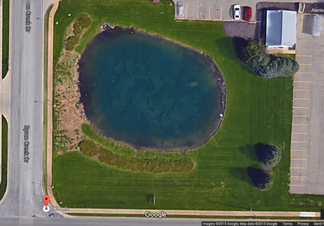 11 Дэйви Ли Найлс пропал в 2006 году Обнаружить его тело помог снимок Google который запечатлел его машину на дне озера Google Карты вокруг света интересное открытия