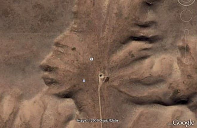 9 Естественная геоформация в Канаде которую называют Страж Пустоши Уникальный рельеф который напоминает лицо в профиль случайно обнаружила девушка во время прогулки по Google Earth Google Карты вокруг света интересное открытия