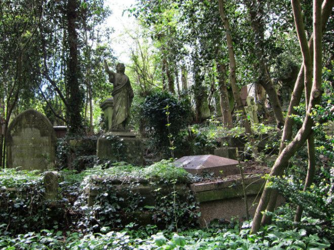 Увитые плющом могилы лондонского кладбища Хайгейт Фото atlasobscuracom