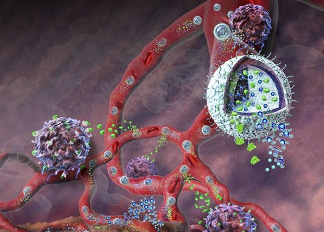 Медики нашли универсальный выключатель роста в раковых клетках