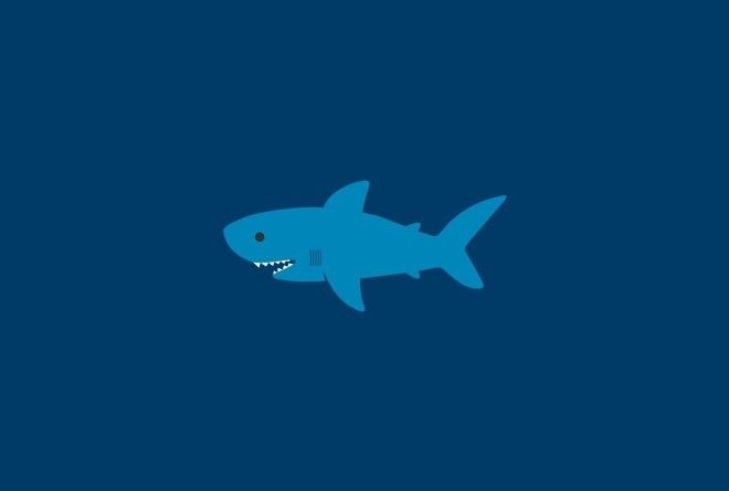 Хоть они и считаются самыми крупными морскими хищниками, опасными для человека, насколько много мы, на самом деле, знаем об акулах?